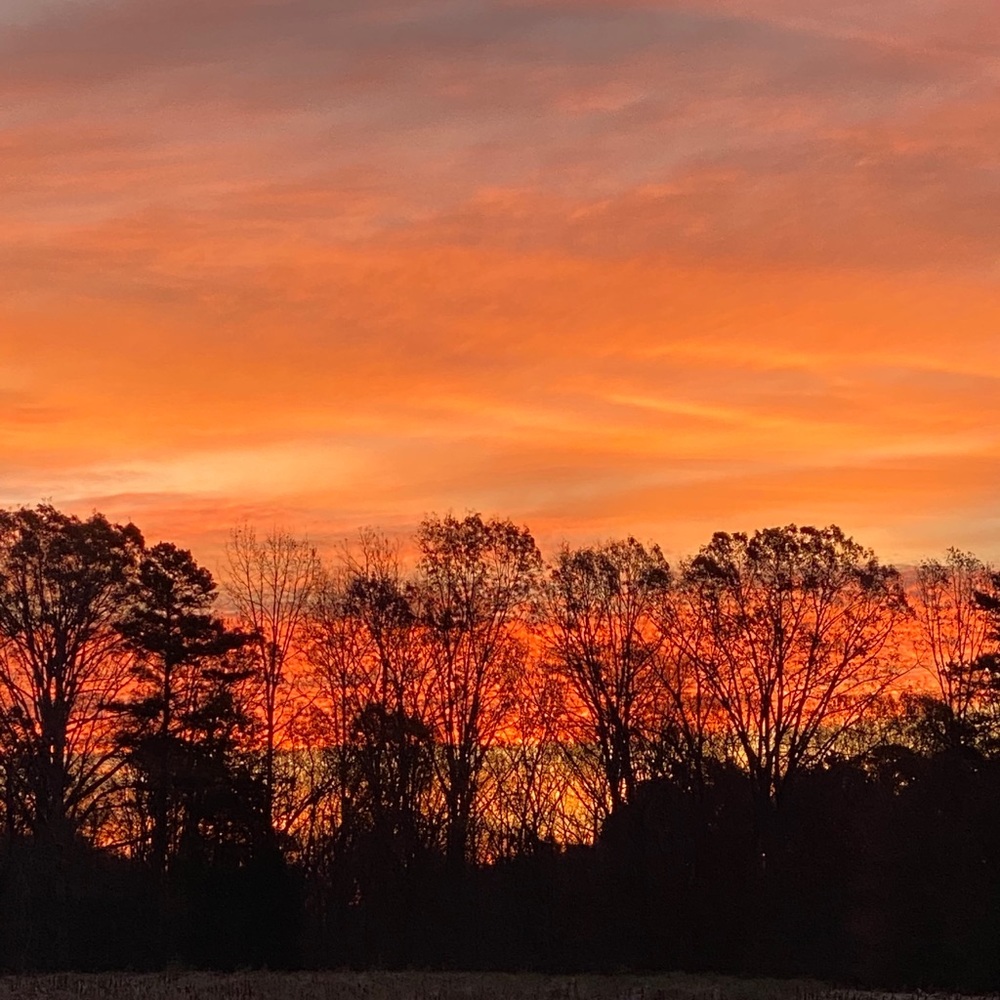 Meet your Posher, Robyn